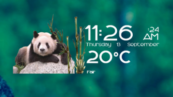 Pandas Time Date and Weather Skin