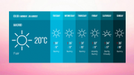Flat Weather Skin