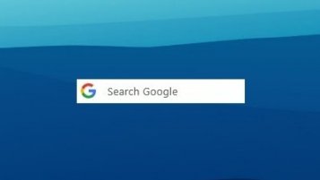 Google Search Skin