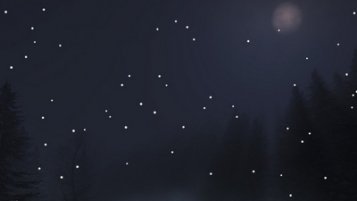 Snow Skin