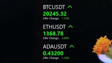MinimalCryptoTracker Skin