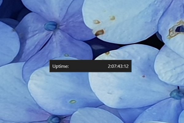 Monochrome Rainmeter Skin #5